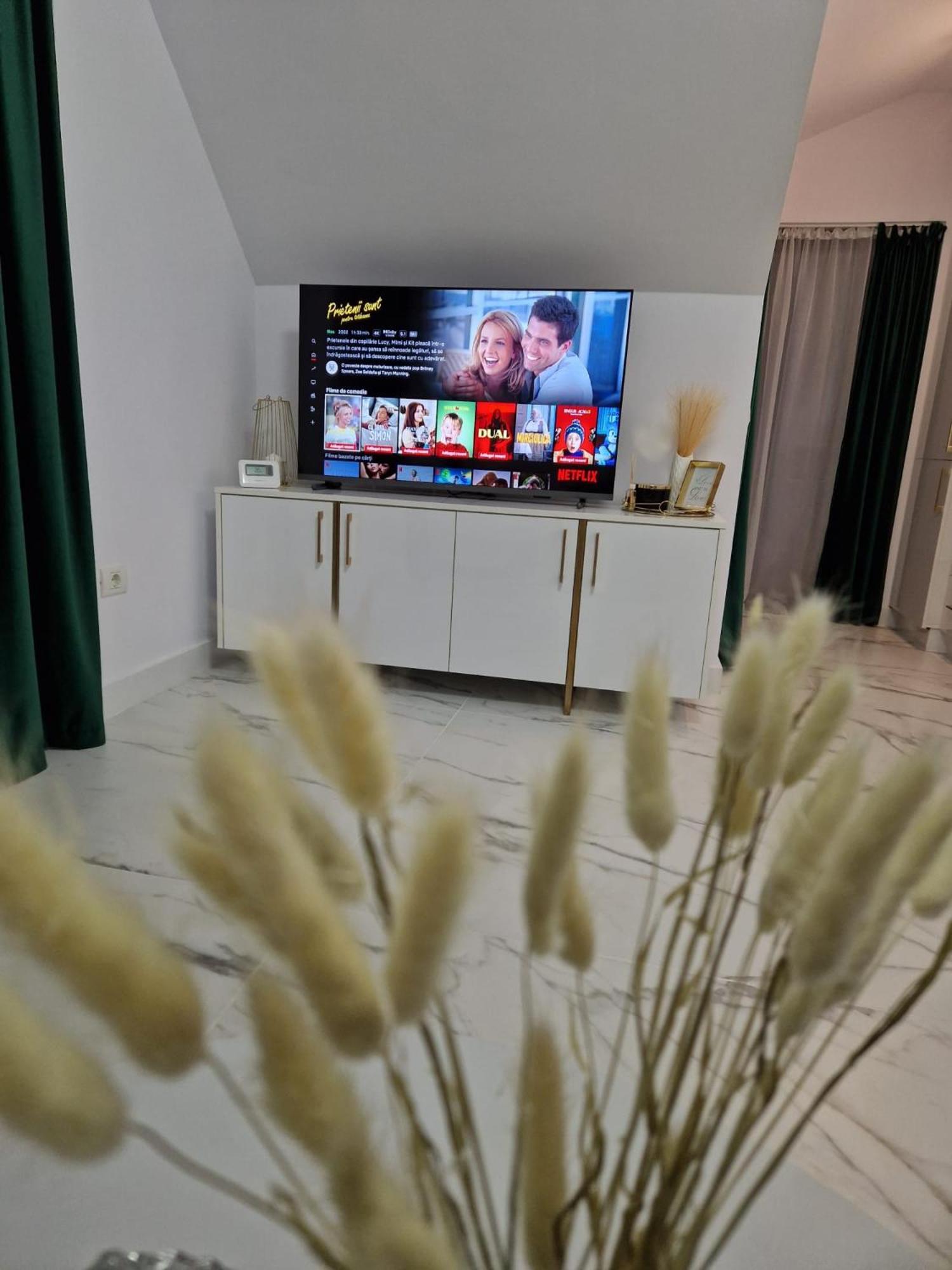 Gold Tag Apartament تيميشورا المظهر الخارجي الصورة
